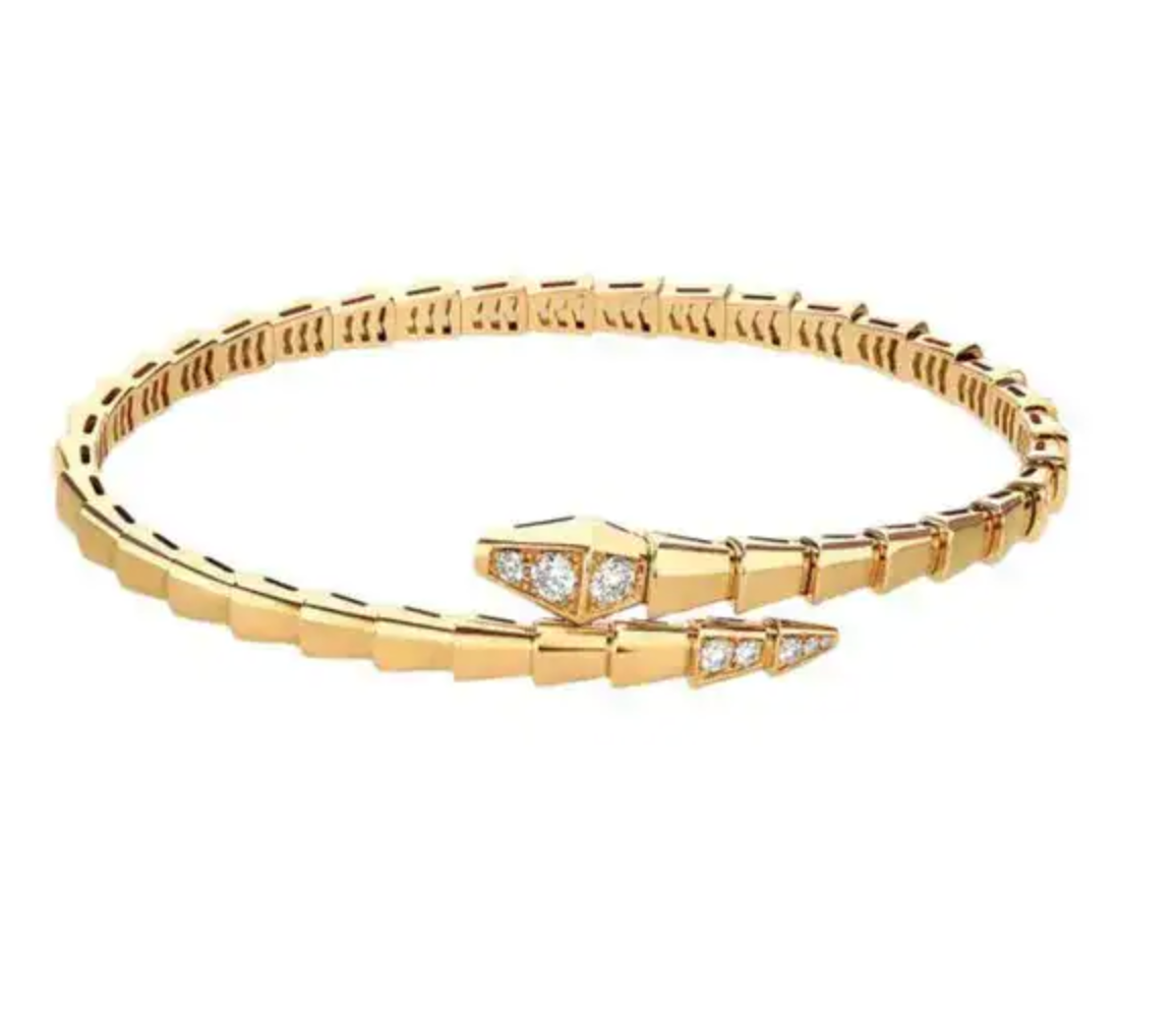 Flex Snake Bangle - DRJ FINE